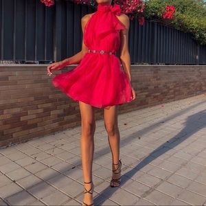 Zara Organza Limited Edition Tie Dress (Sz Large)